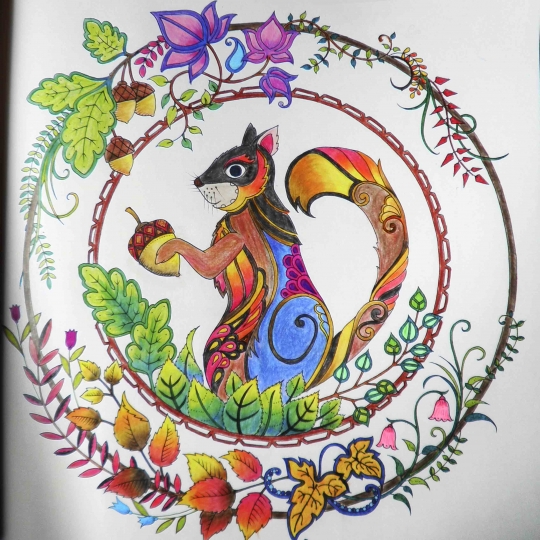 秘密花园(2魔法森林)-博库网旗舰店-爱奇艺商城